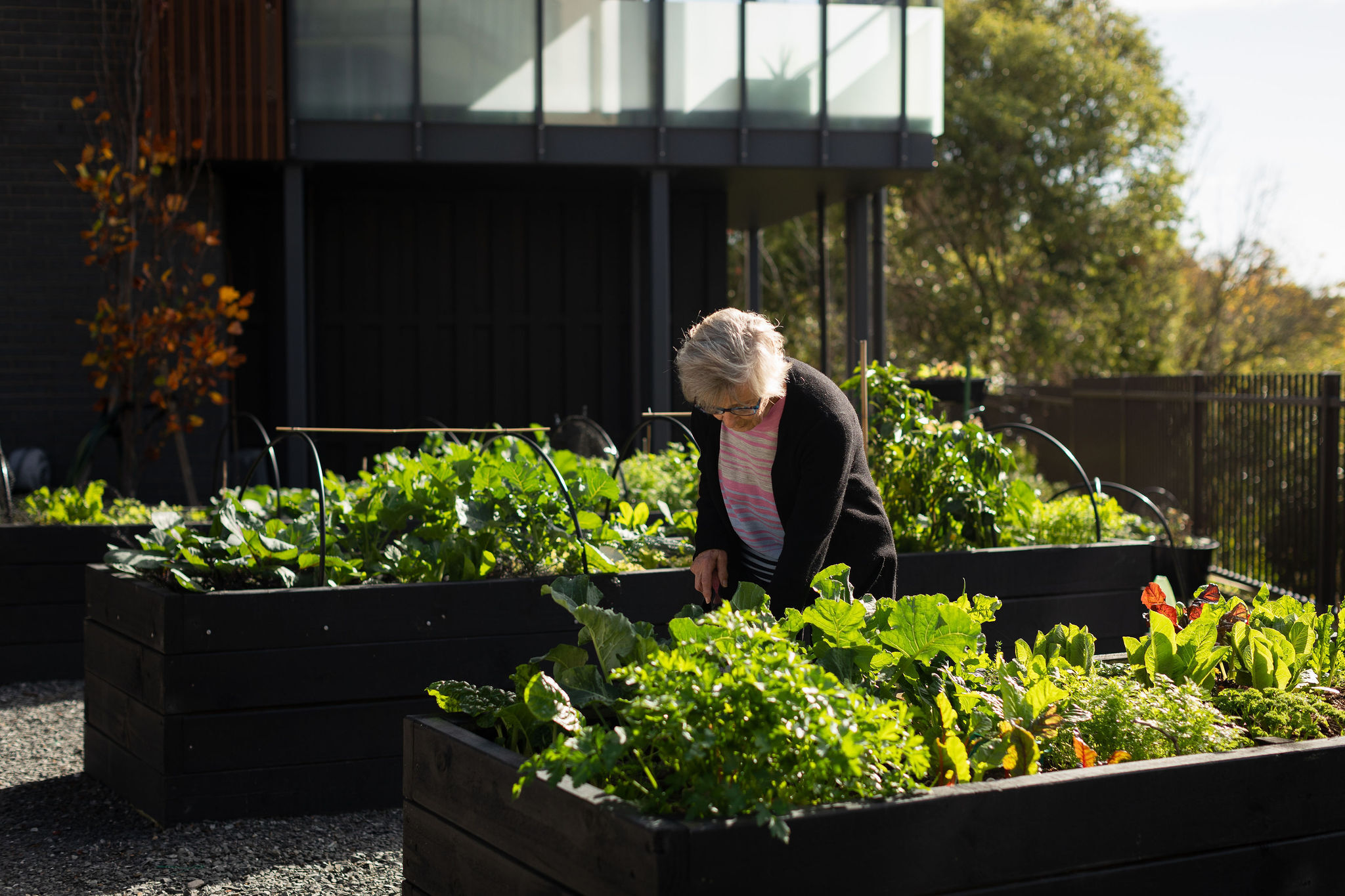 Communal Gardens 
